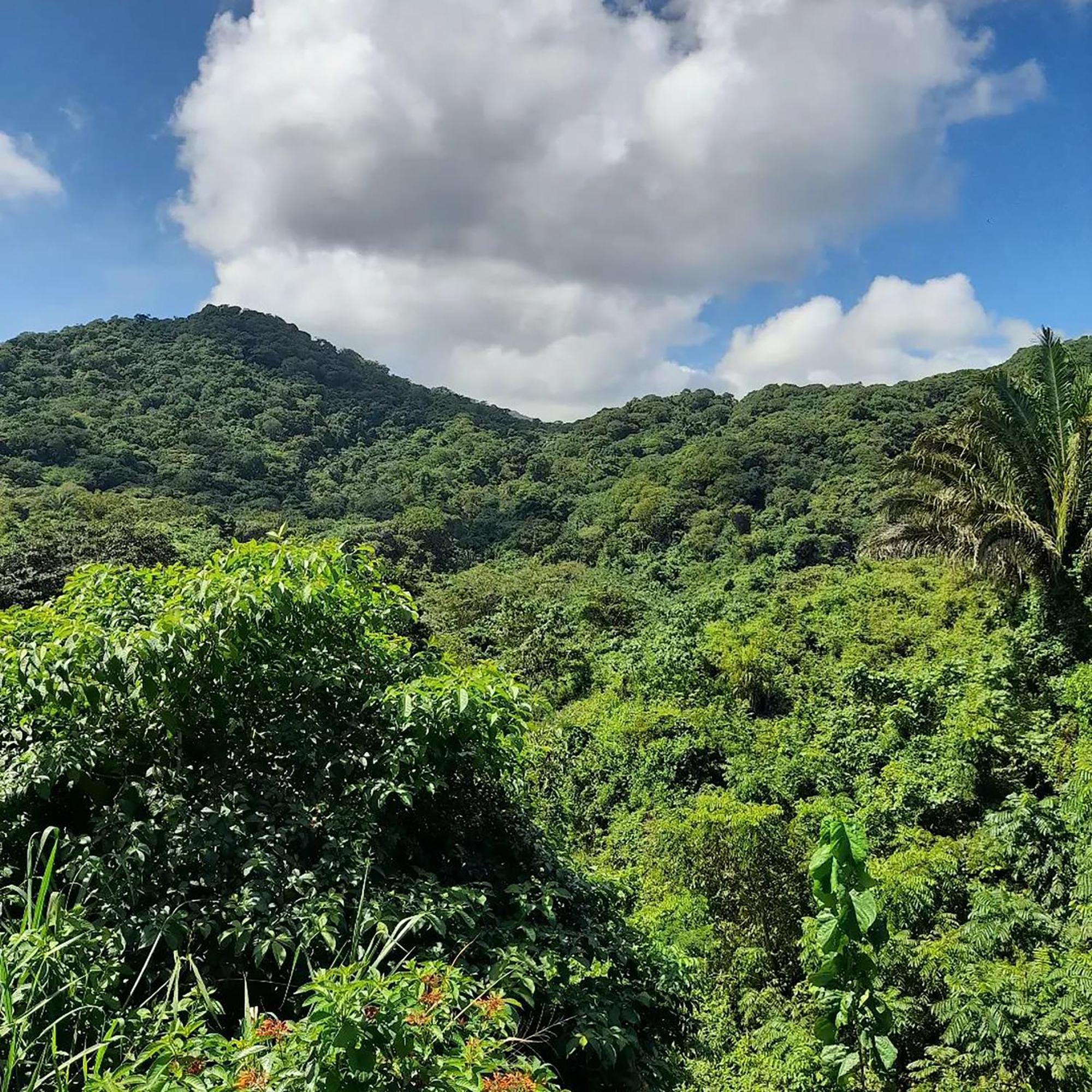 Mirador del Parque Tayrona El Zaino Exterior foto