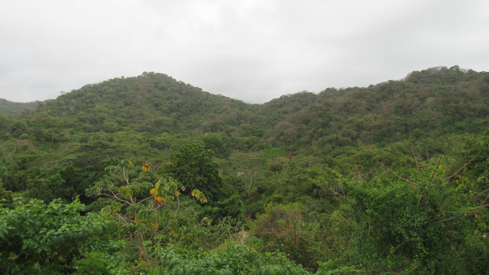 Mirador del Parque Tayrona El Zaino Exterior foto
