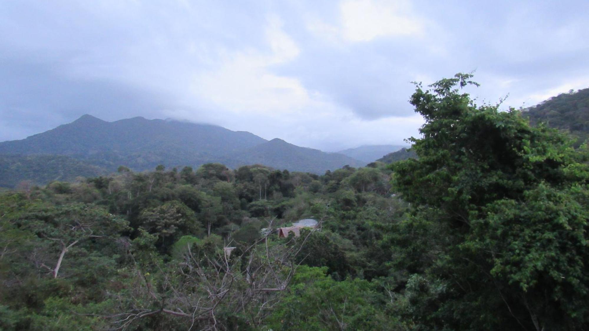 Mirador del Parque Tayrona El Zaino Exterior foto